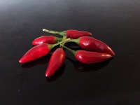 jvl001 - SeedsIO.com Profile Photo