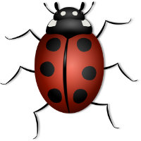 robputt - SeedsIO.com Profile Photo